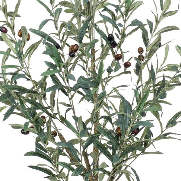 Olea europaea - Olijfboom | Kunstplant