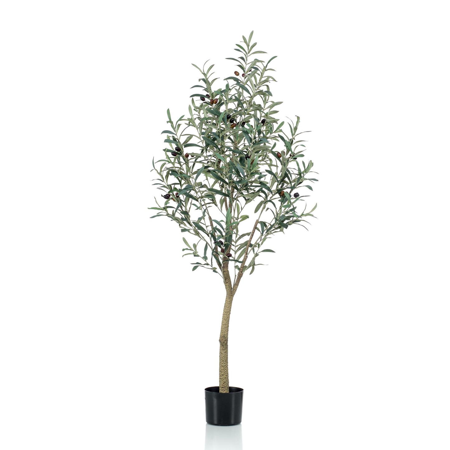 Olea europaea - Olijfboom | Kunstplant