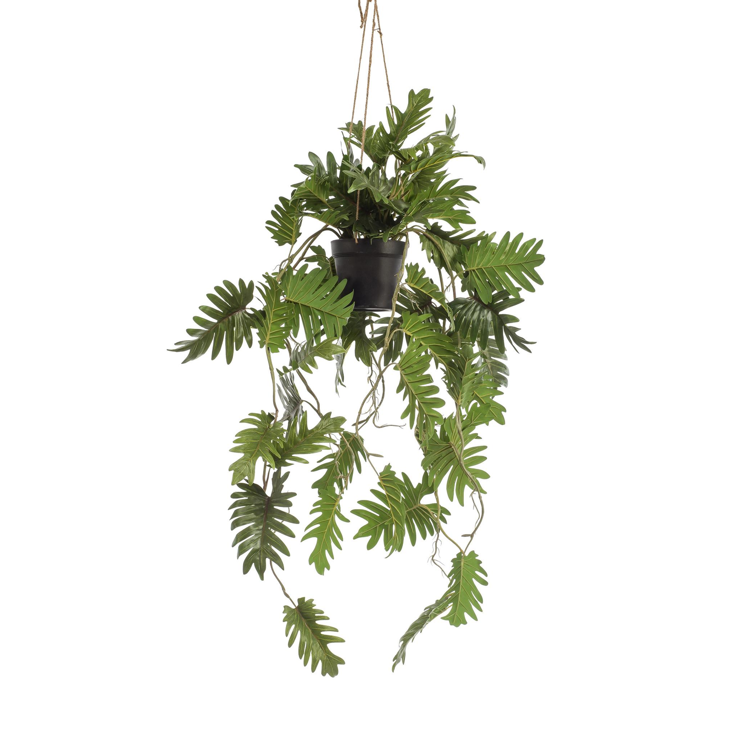 Philodendron - Klimmende boomliefhebber | Kunstplant