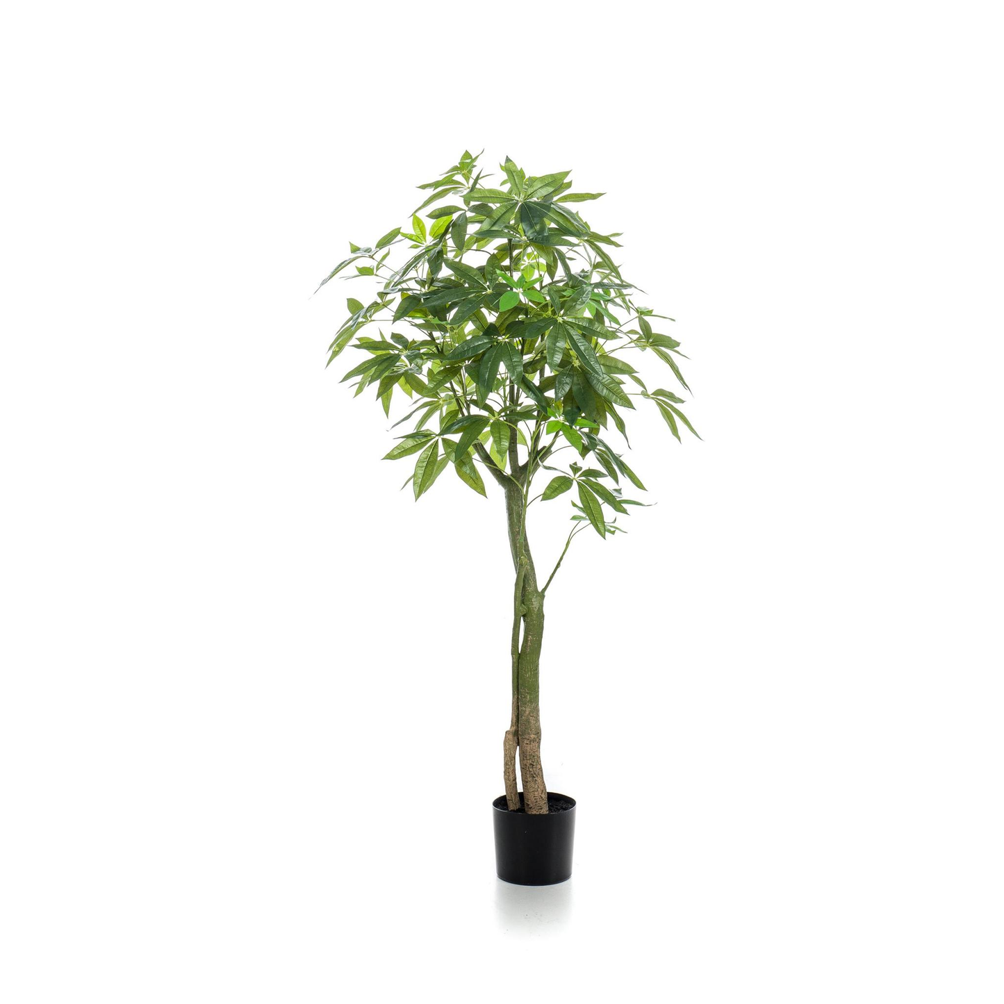 Pachira Aquatica - Geldboom | Kunstplant