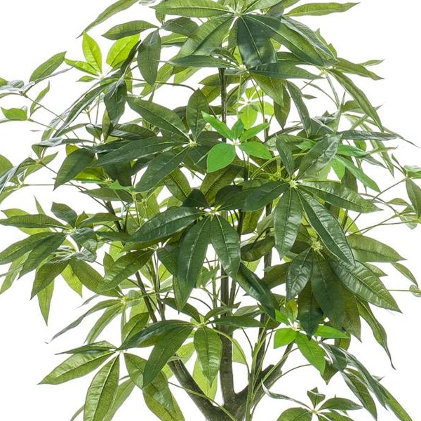 Pachira Aquatica - Geldboom | Kunstplant
