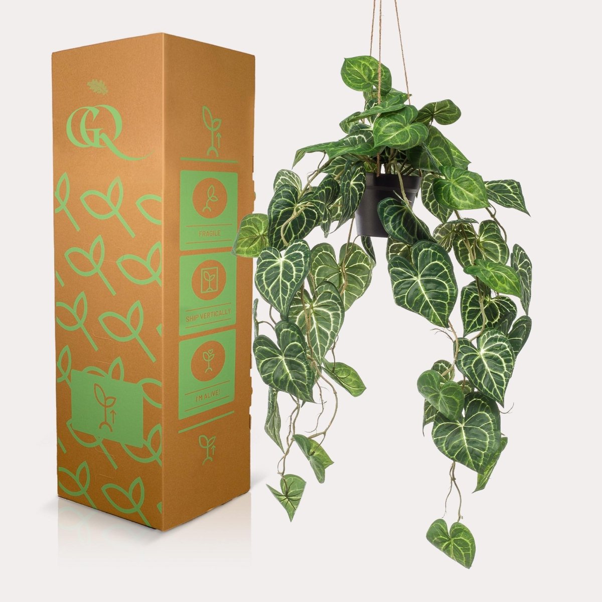 Anthurium Clarinervium - Aderplant | Kunstplant 3 - LushLeaf | Online planten bestellen