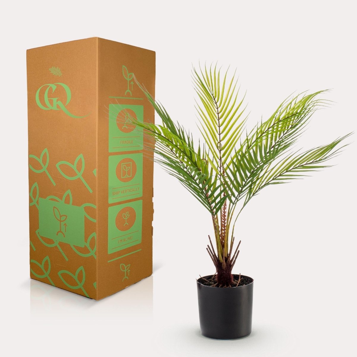 Chamaedorea - Bergpalm | Kunstplant 4 - LushLeaf | Online planten bestellen