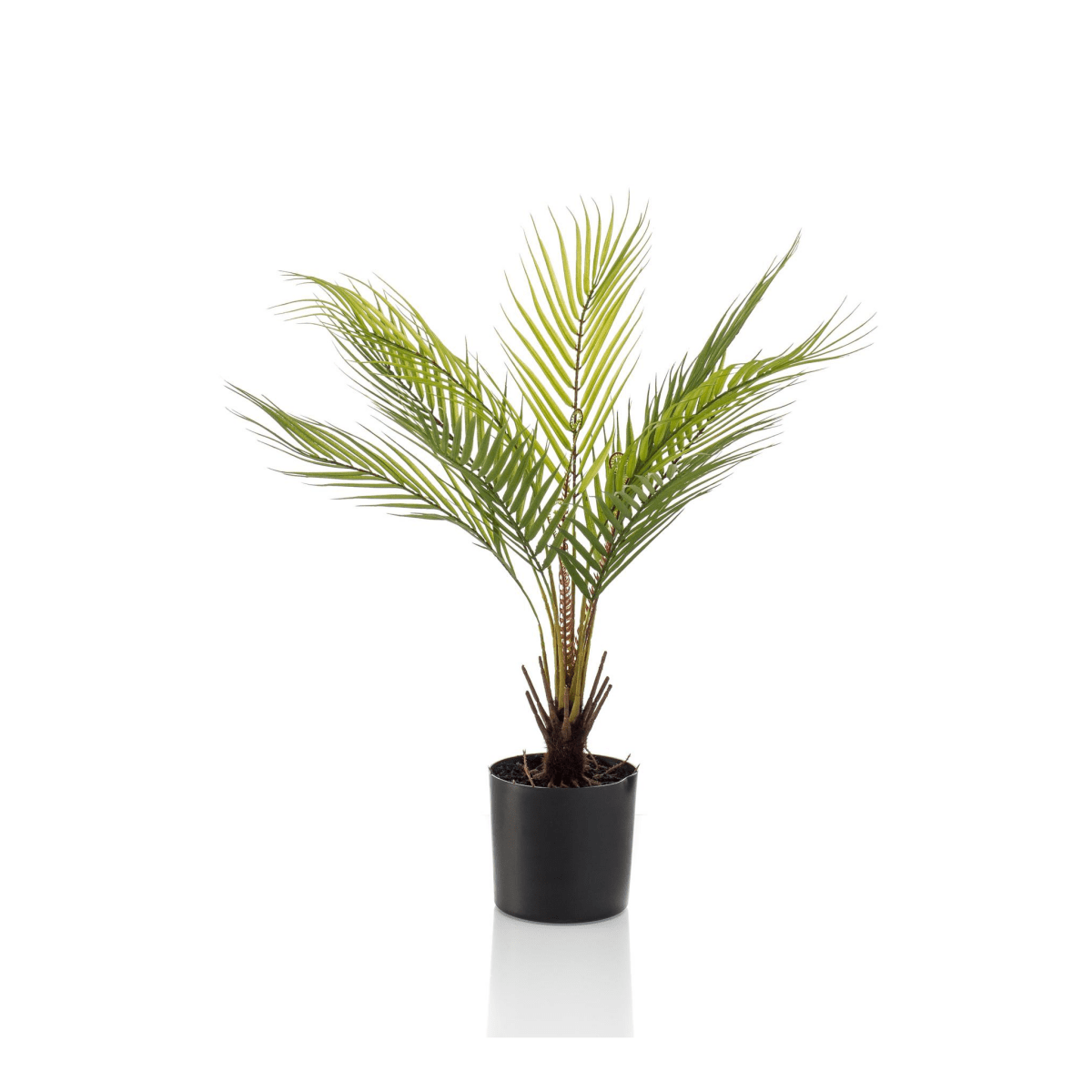 Chamaedorea - Bergpalm | Kunstplant 1 - LushLeaf | Online planten bestellen