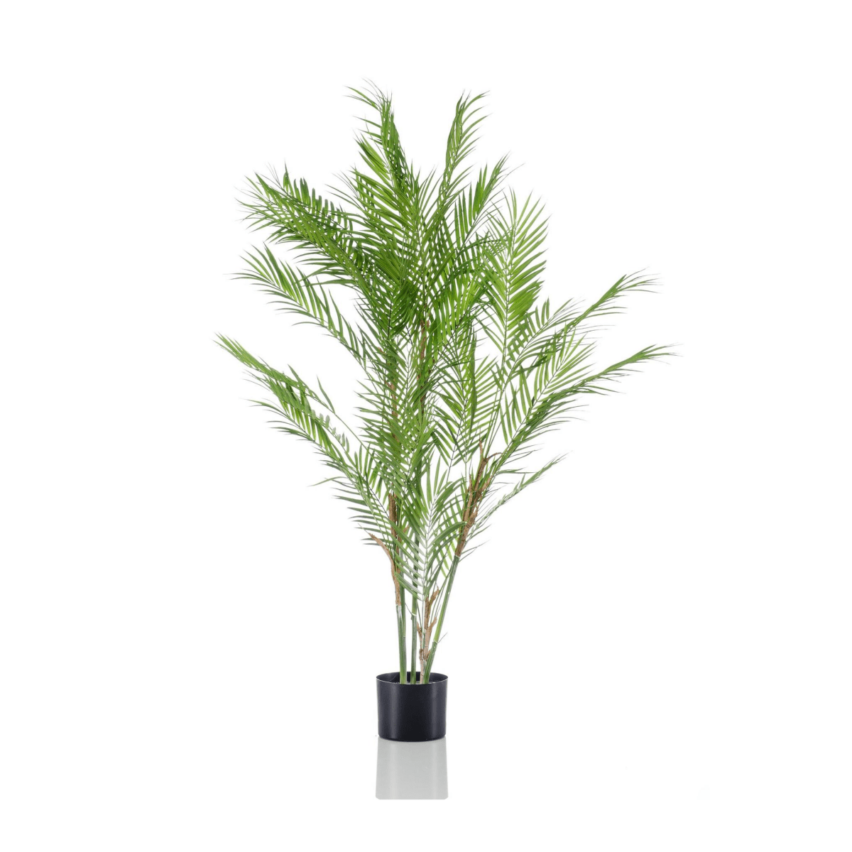 Chamaedorea - Bergpalm | Kunstplant 6 - LushLeaf | Online planten bestellen