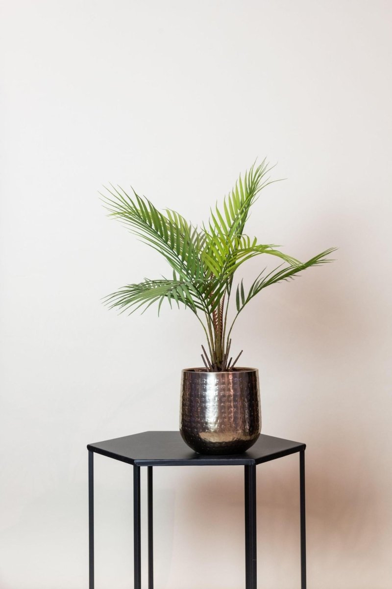 Chamaedorea - Bergpalm | Kunstplant 3 - LushLeaf | Online planten bestellen