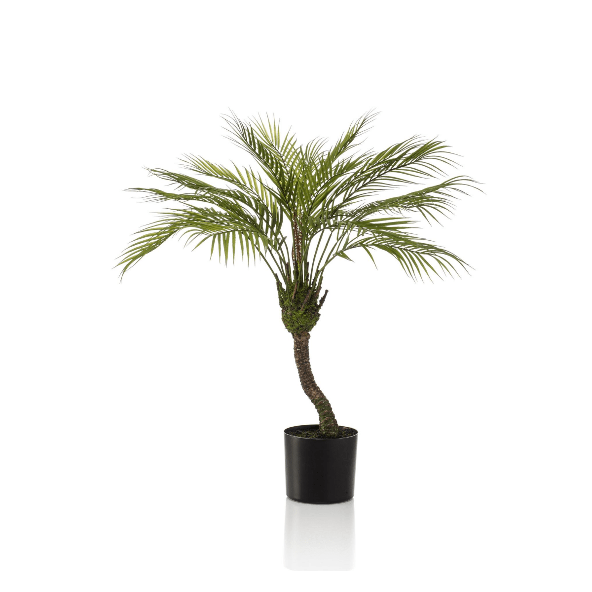 Chamaedorea - Bergpalm | Kunstplant 5 - LushLeaf | Online planten bestellen