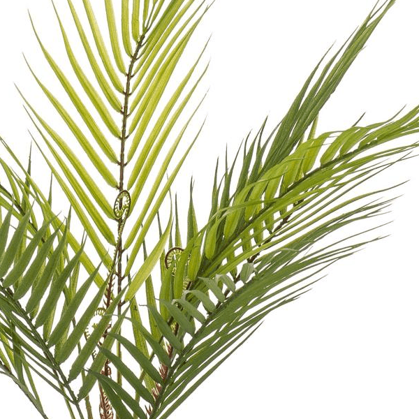 Chamaedorea - Bergpalm | Kunstplant 2 - LushLeaf | Online planten bestellen