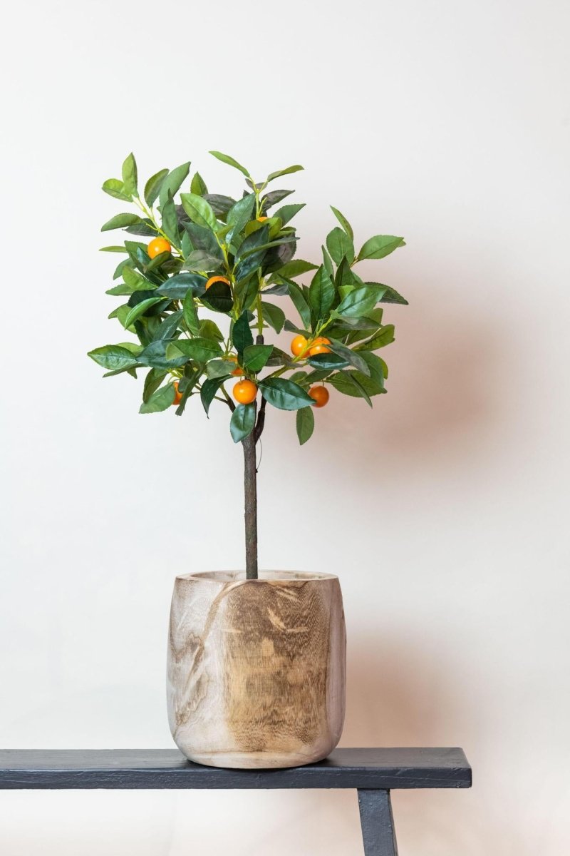 Citrus Sinensis - Sinaasappelboom | Kunstplant 3 - LushLeaf | Online planten bestellen