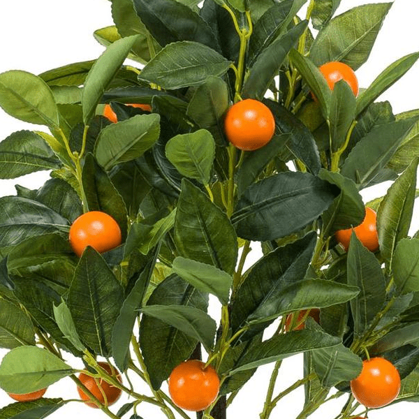 Citrus Sinensis - Sinaasappelboom | Kunstplant 2 - LushLeaf | Online planten bestellen