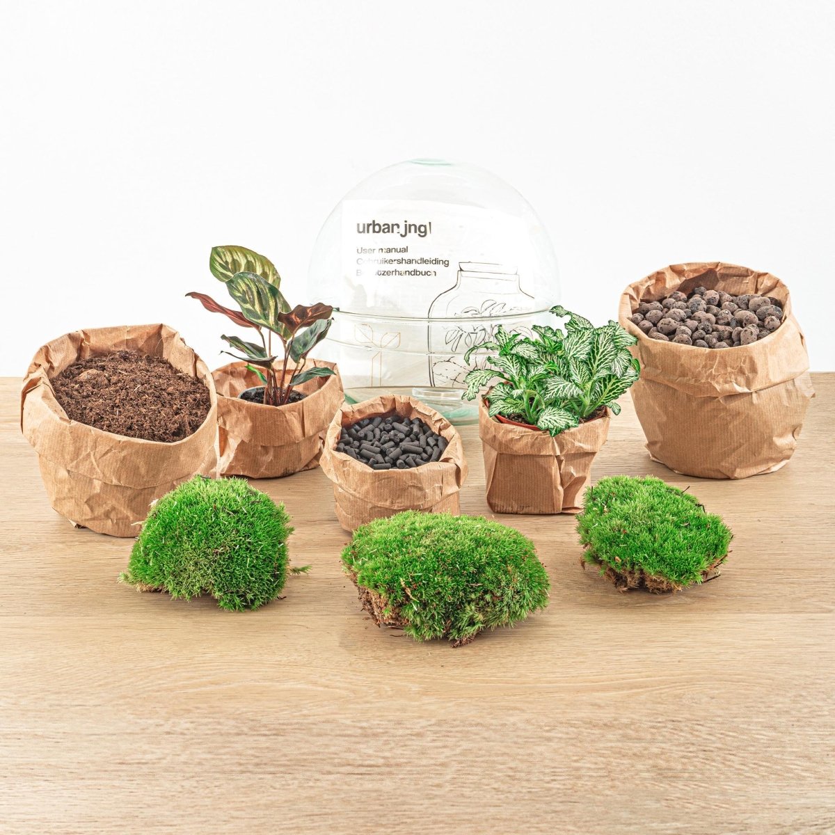 Dome | DIY terrarium 2 - LushLeaf | Online planten bestellen