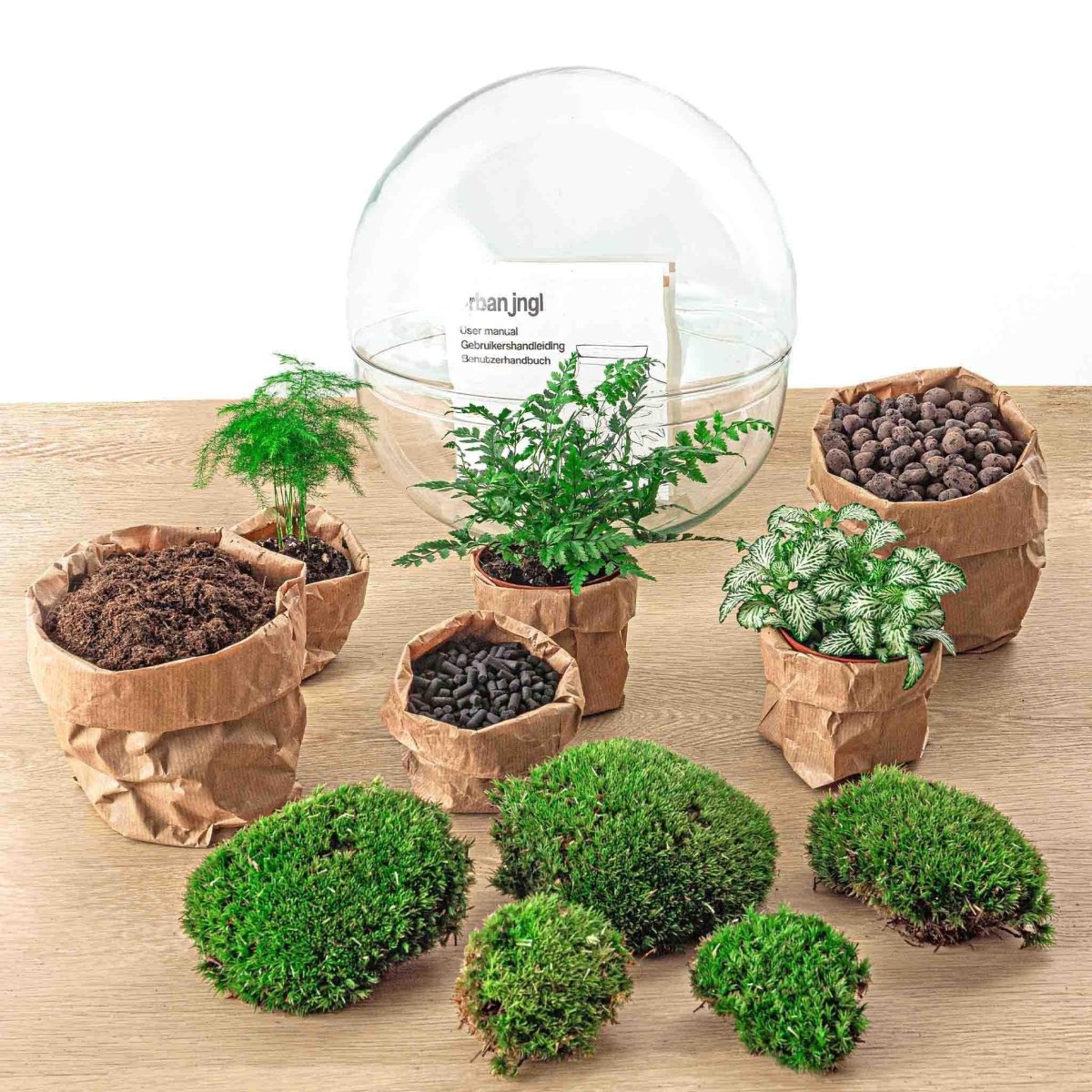 Dome | DIY terrarium 2 - LushLeaf | Online planten bestellen