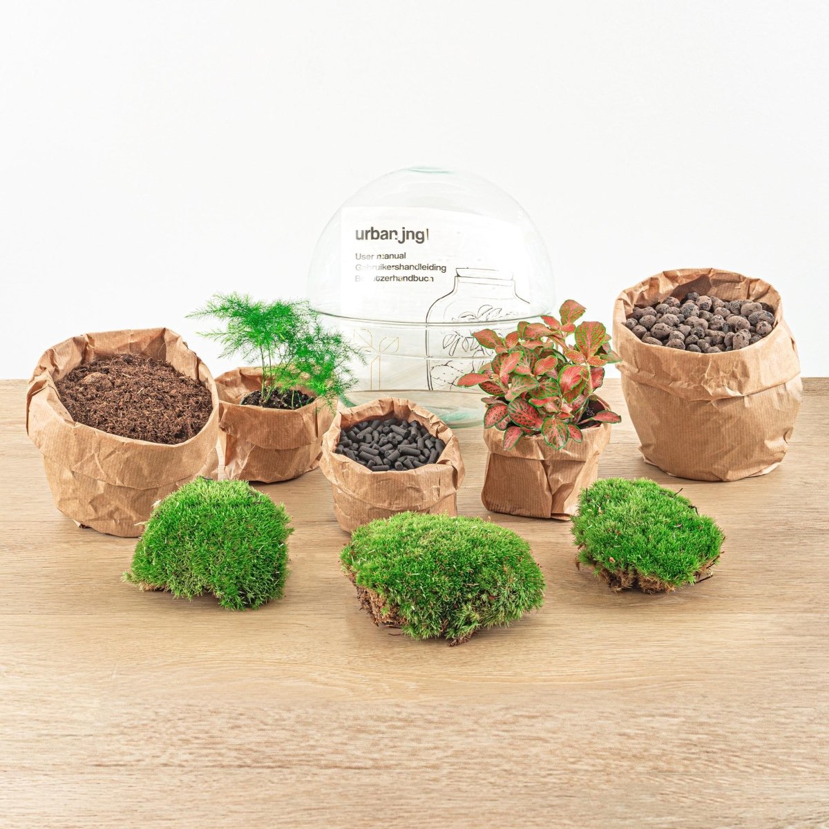 Dome Red | DIY terrarium 2 - LushLeaf | Online planten bestellen