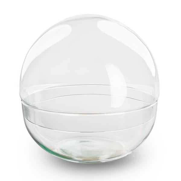 Dome XL | Terrarium los 1 - LushLeaf | Online planten bestellen