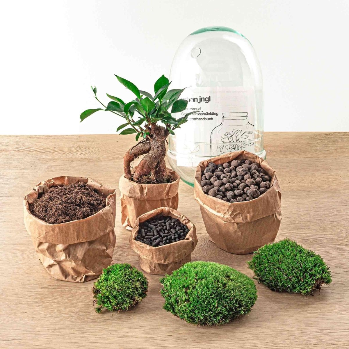 Egg Bonsai | DIY terrarium 2 - LushLeaf | Online planten bestellen