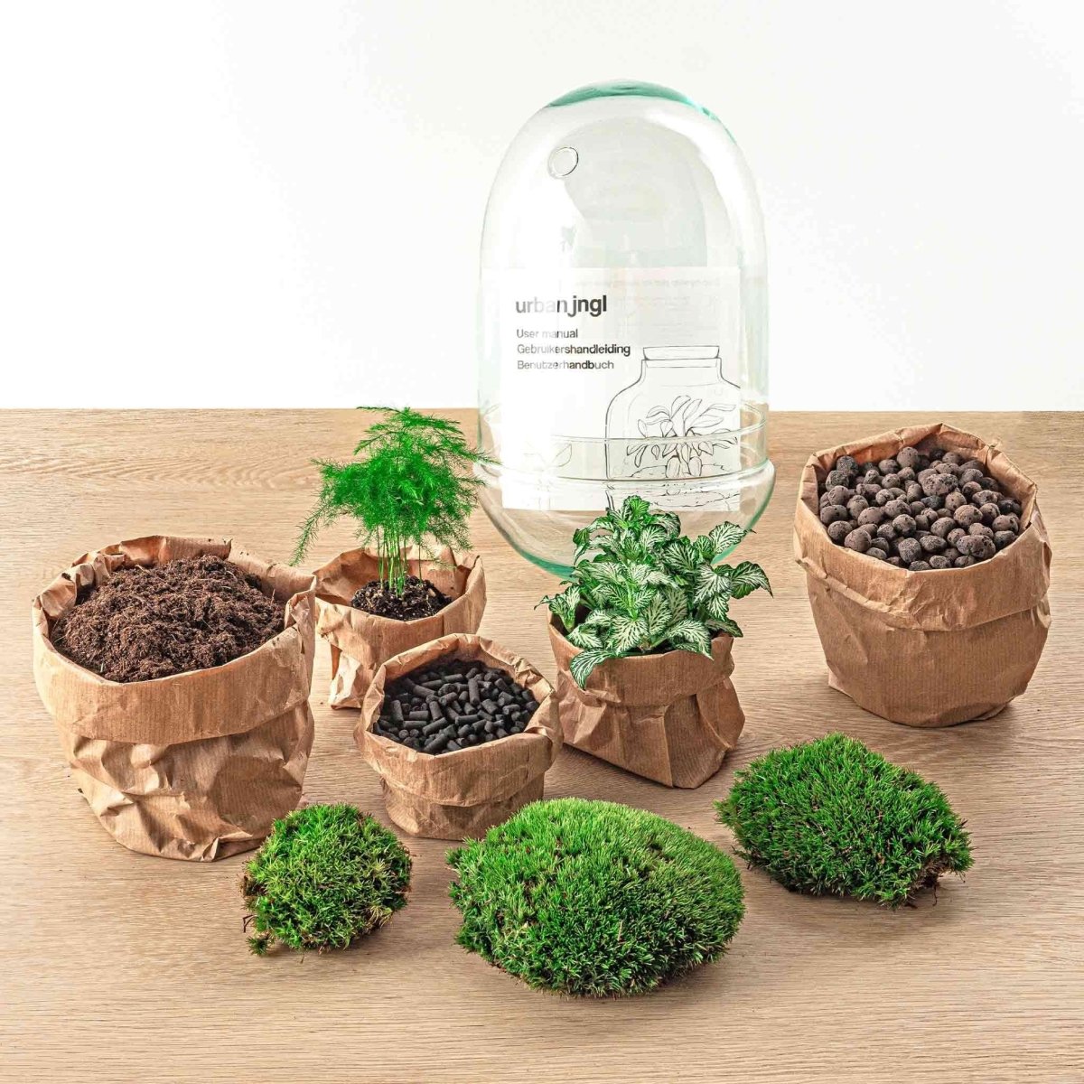 Egg L | DIY terrarium 2 - LushLeaf | Online planten bestellen