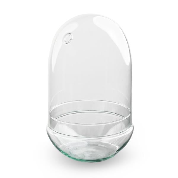 Egg XL | Terrarium los 1 - LushLeaf | Online planten bestellen