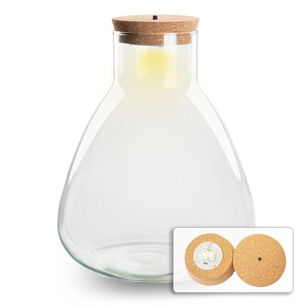 Erlenmeyer | Terrarium los met LED lamp 1 - LushLeaf | Online planten bestellen