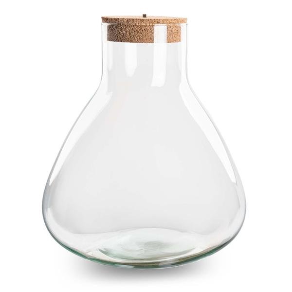 Erlenmeyer XL | Terrarium los met LED licht 2 - LushLeaf | Online planten bestellen