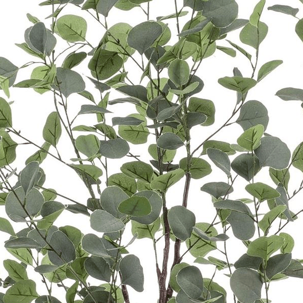 Eucalyptus - Blauwe Gomboom | Kunstplant 2 - LushLeaf | Online planten bestellen