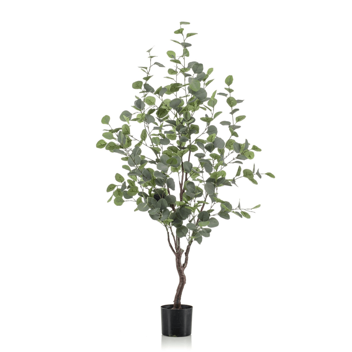 Eucalyptus - Blauwe Gomboom | Kunstplant 1 - LushLeaf | Online planten bestellen
