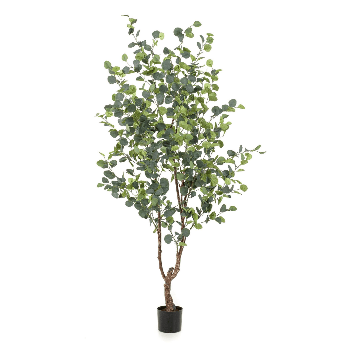 Eucalyptus - Blauwe Gomboom | Kunstplant 6 - LushLeaf | Online planten bestellen