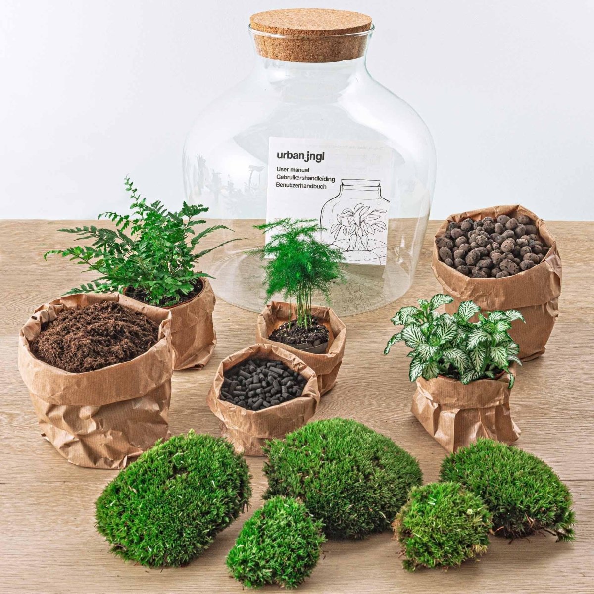 Fat Joe Groen | DIY terrarium 2 - LushLeaf | Online planten bestellen