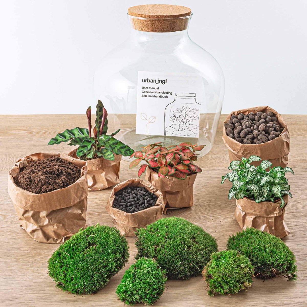 Fat Joe Rood | DIY terrarium 2 - LushLeaf | Online planten bestellen
