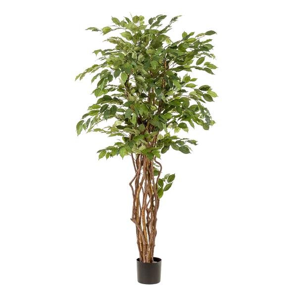 Ficus liana - Vioolbladplant | kunstplant 4 - LushLeaf | Online planten bestellen