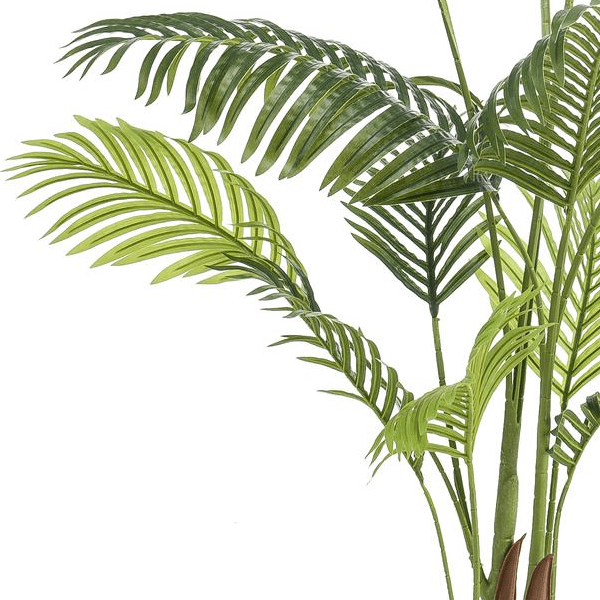 Howea Forsteriana | Kunstplant 2 - LushLeaf | Online planten bestellen