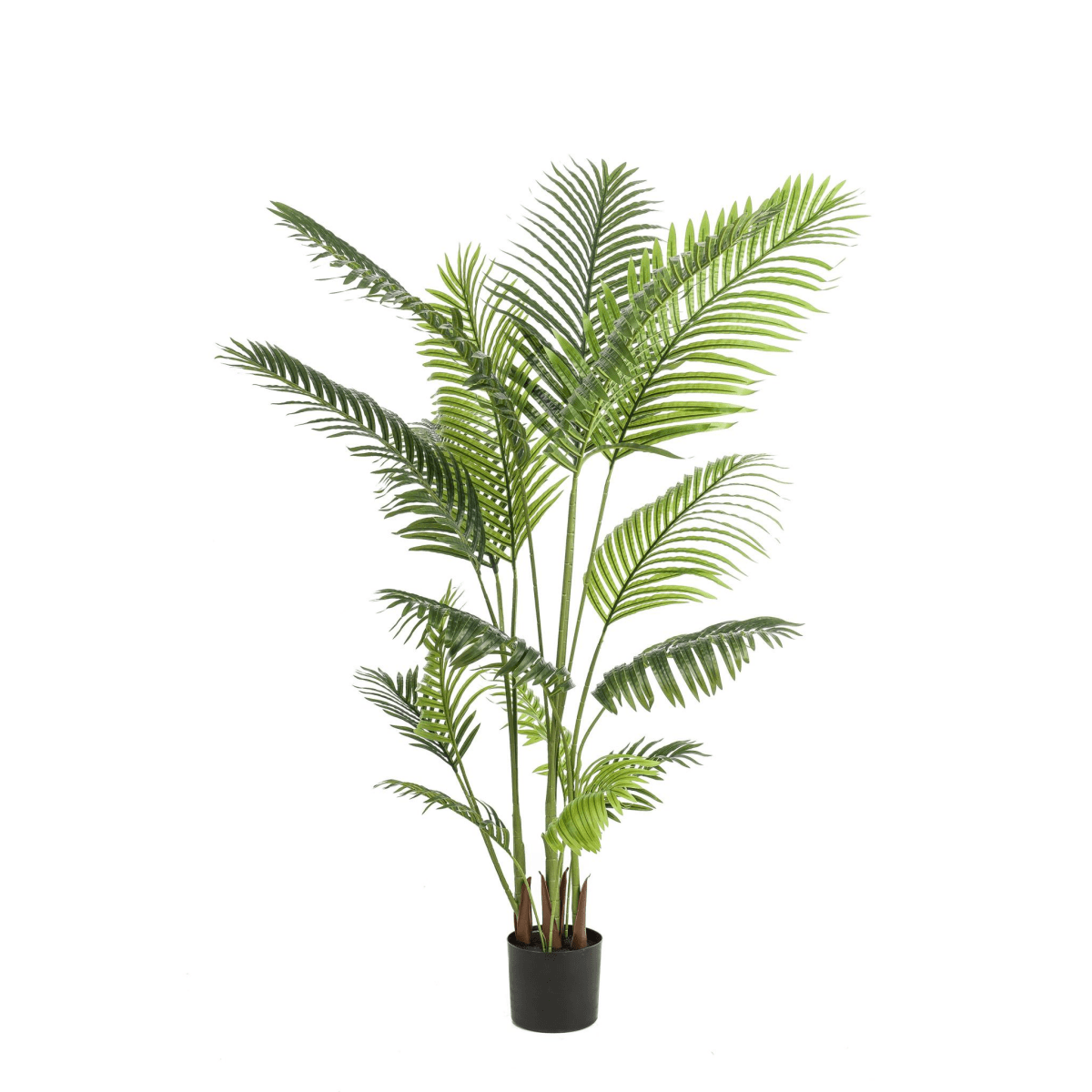 Howea Forsteriana | Kunstplant 5 - LushLeaf | Online planten bestellen
