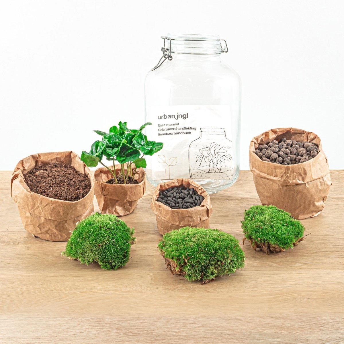 Jar - Coffea Arabica | DIY terrarium 2 - LushLeaf | Online planten bestellen