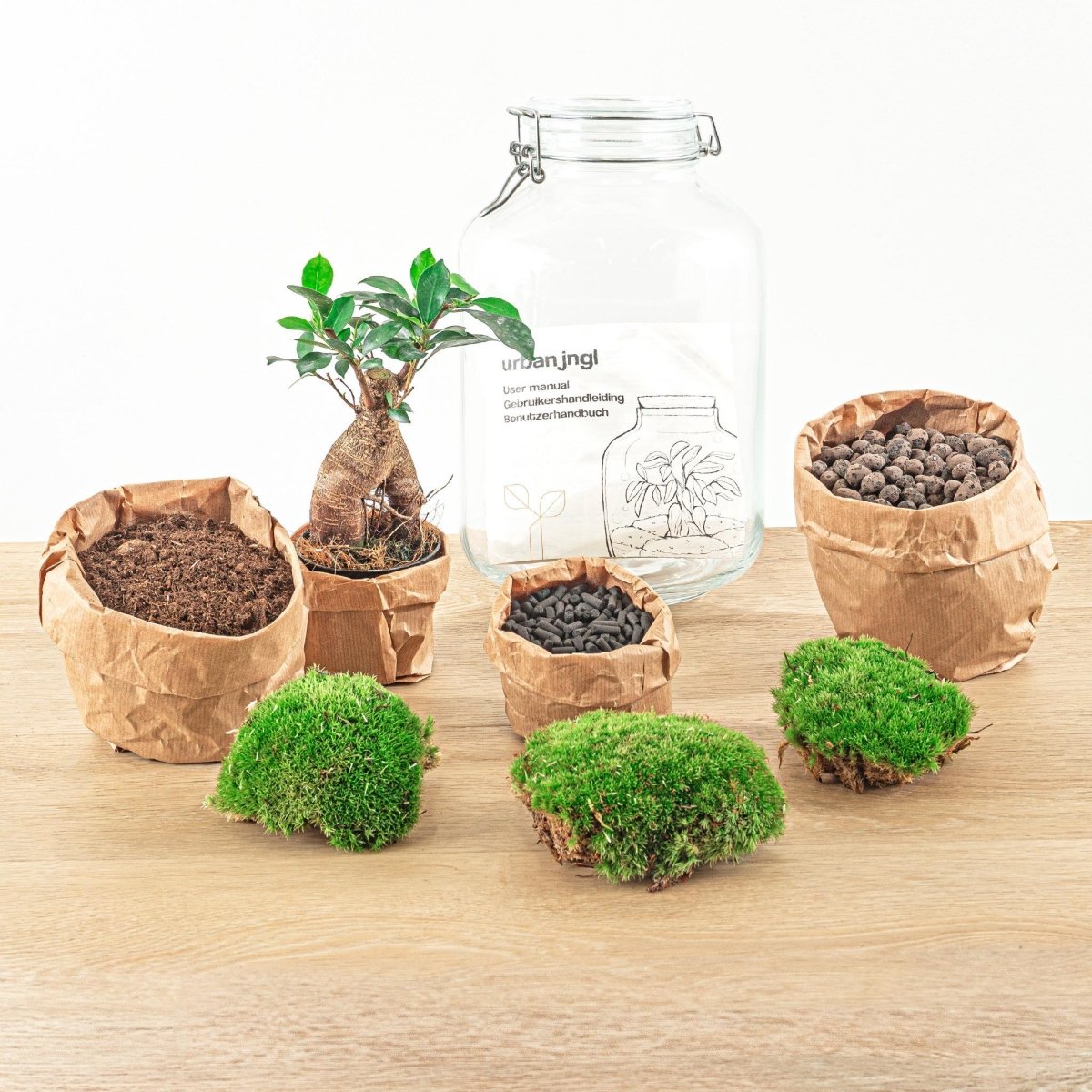 Jar - Ficus Ginseng bonsai | DIY terrarium 2 - LushLeaf | Online planten bestellen
