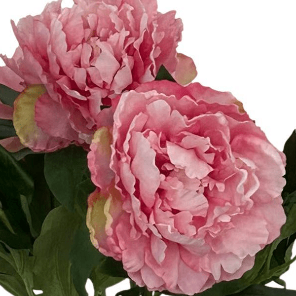 Light Pink Peonies x5 | Kunstbloemen 2 - LushLeaf | Online planten bestellen
