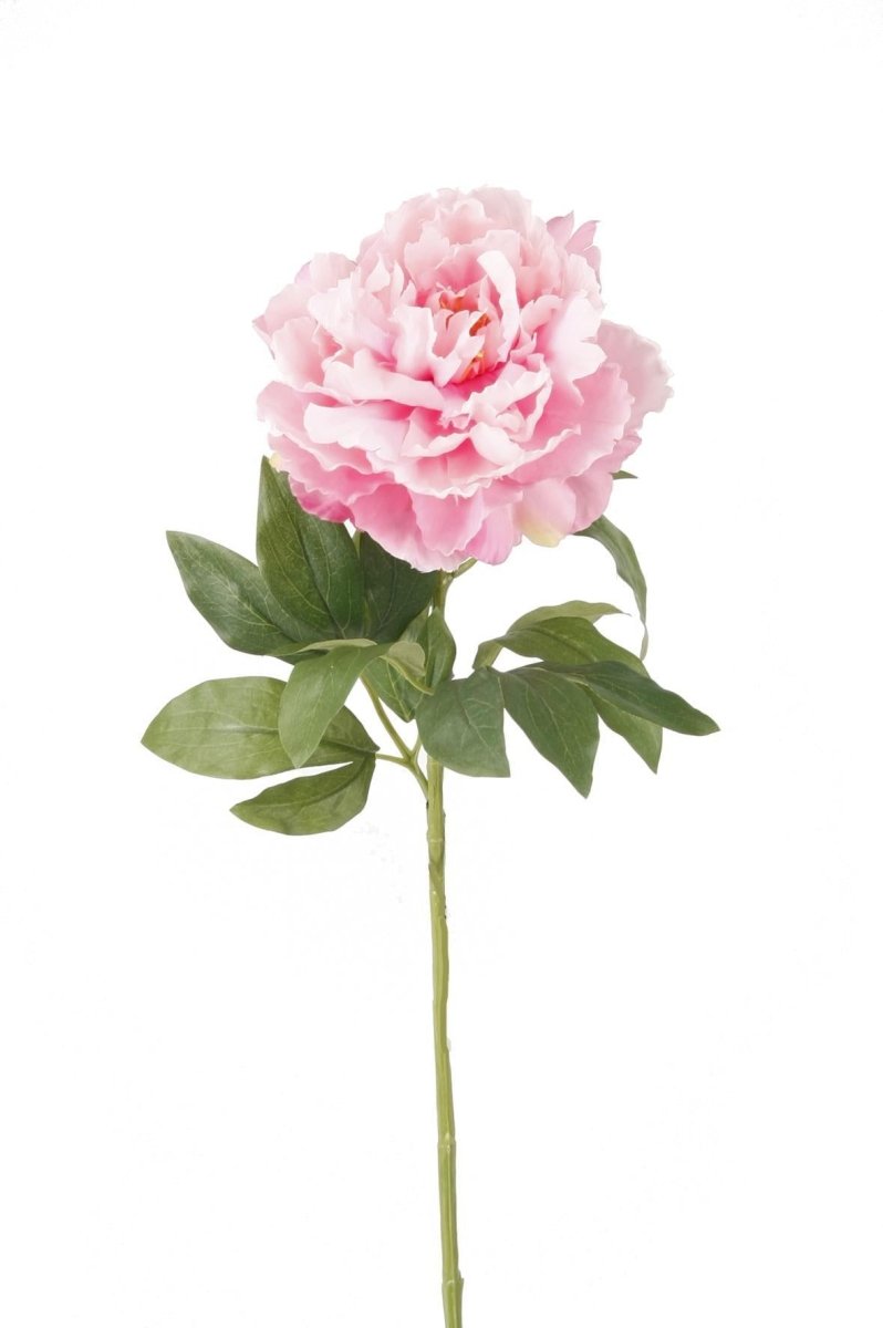 Light Pink Peonies x5 | Kunstbloemen 5 - LushLeaf | Online planten bestellen