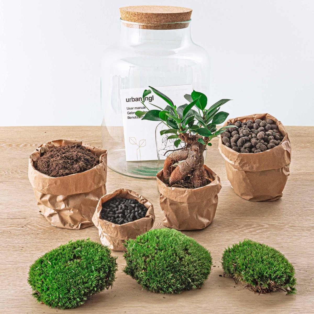 Milky met bonsai | DIY terrarium 2 - LushLeaf | Online planten bestellen