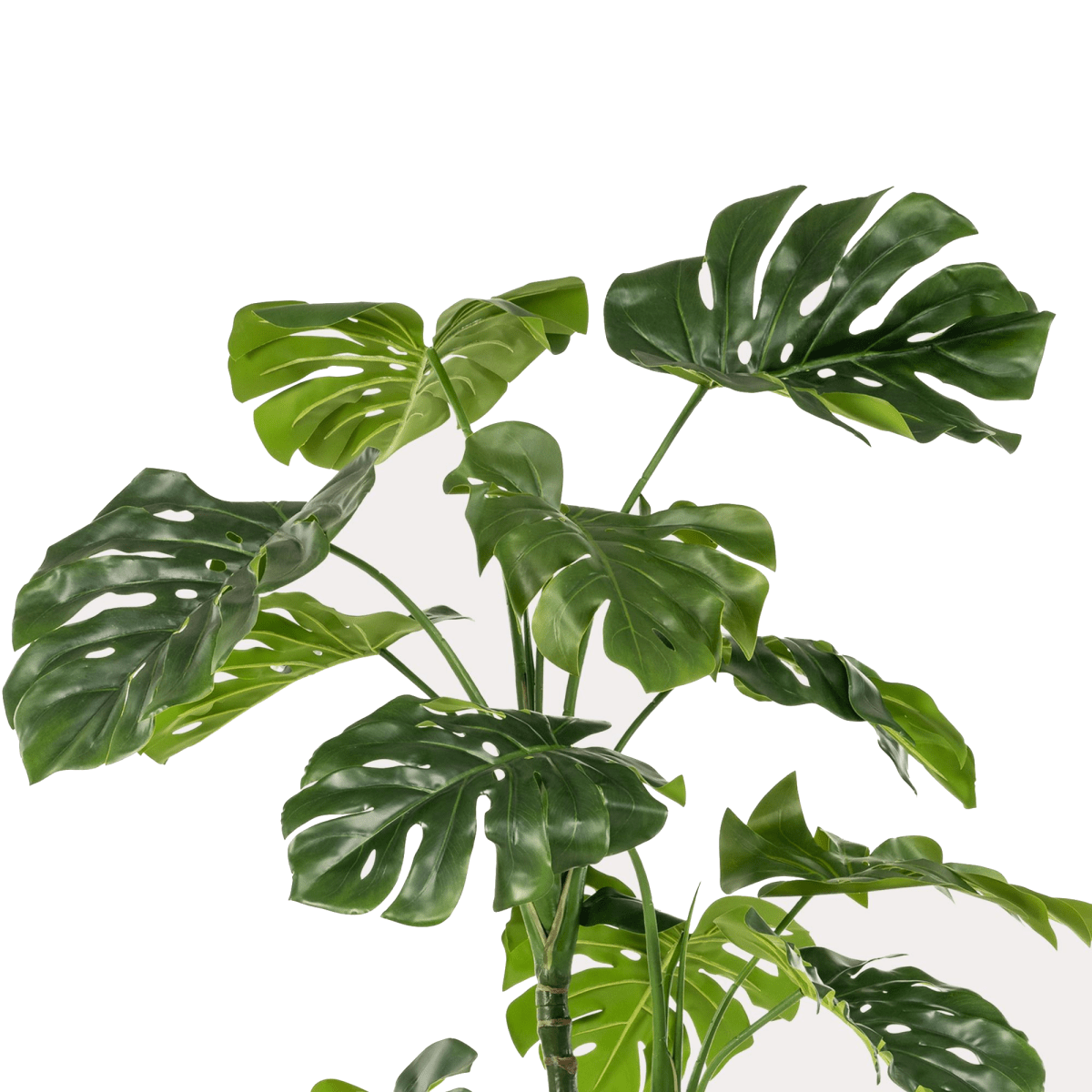 Monstera - Gatenplant | kunstplant 2 - LushLeaf | Online planten bestellen