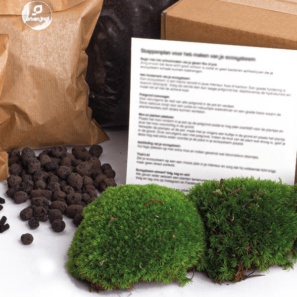 Mos - Terrarium pakket - Navulling & Startpakket | DIY 2 - LushLeaf | Online planten bestellen