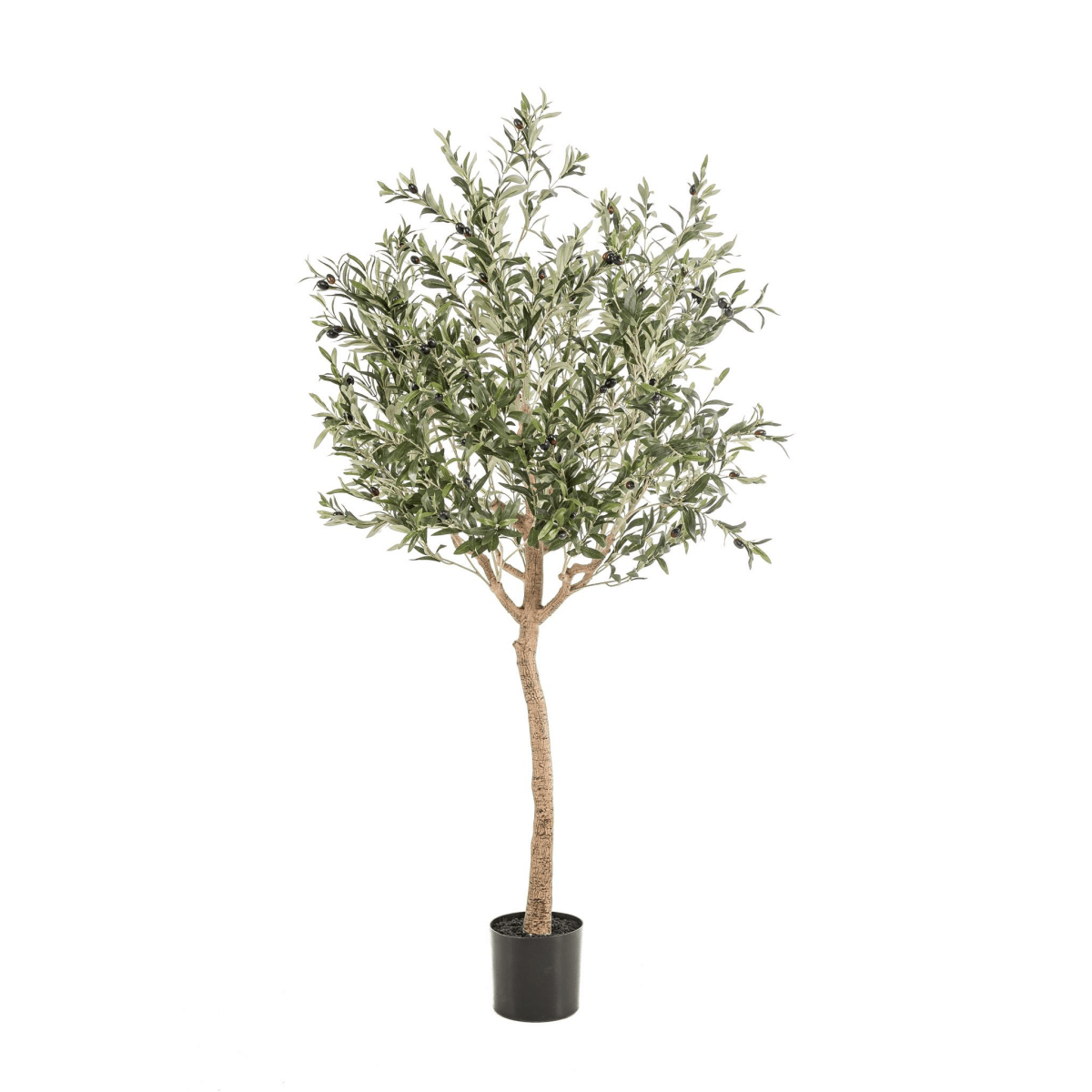 Olea europaea - Olijfboom | Kunstplant 6 - LushLeaf | Online planten bestellen