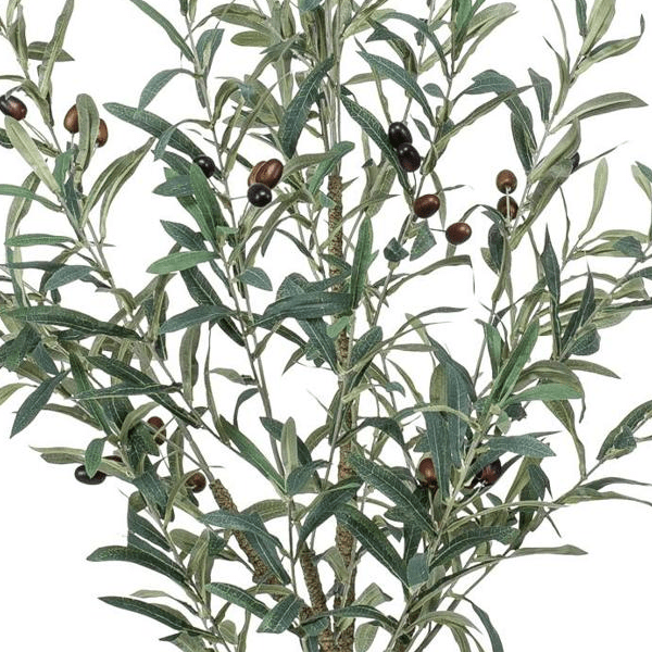 Olea europaea - Olijfboom | Kunstplant 2 - LushLeaf | Online planten bestellen