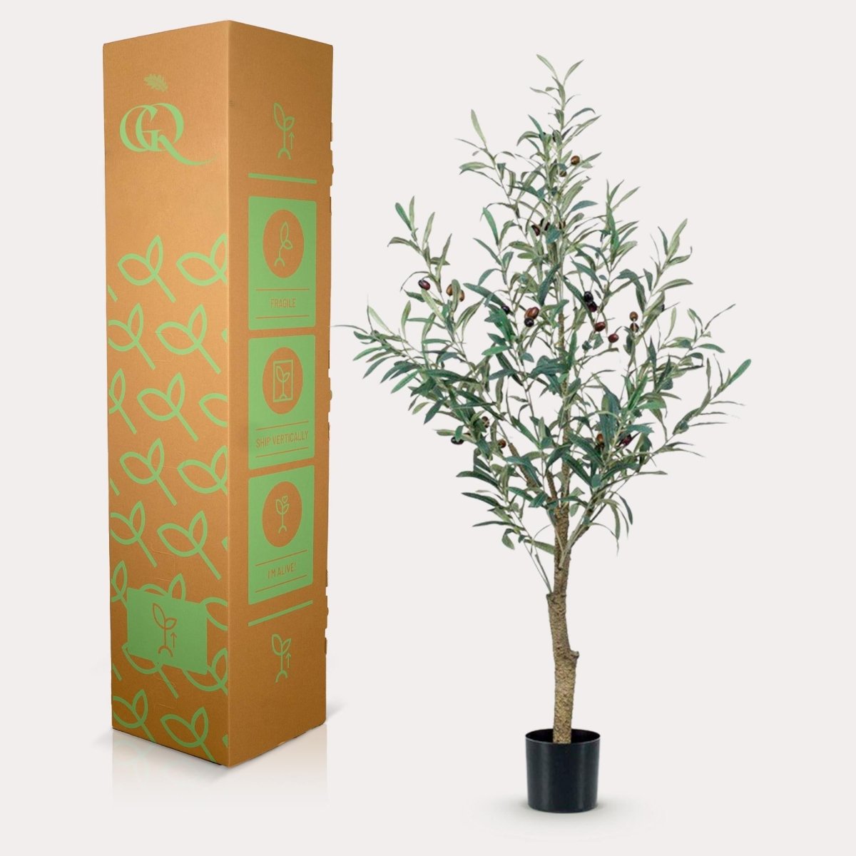 Olea europaea - Olijfboom | Kunstplant 4 - LushLeaf | Online planten bestellen