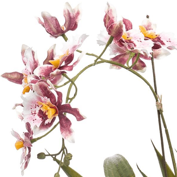 Orchidee Bordeaux | Kunstplant 2 - LushLeaf | Online planten bestellen