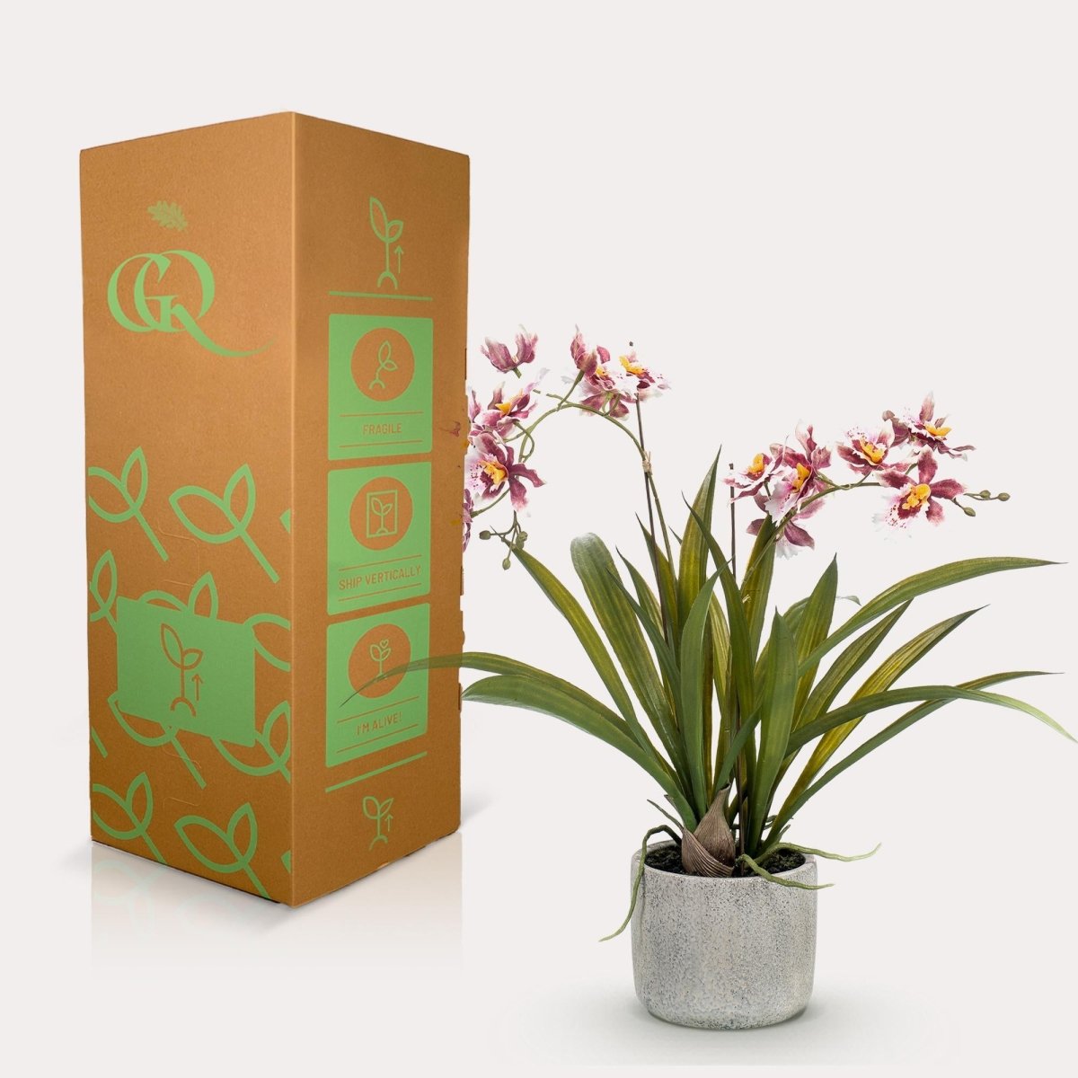 Orchidee Bordeaux | Kunstplant 3 - LushLeaf | Online planten bestellen