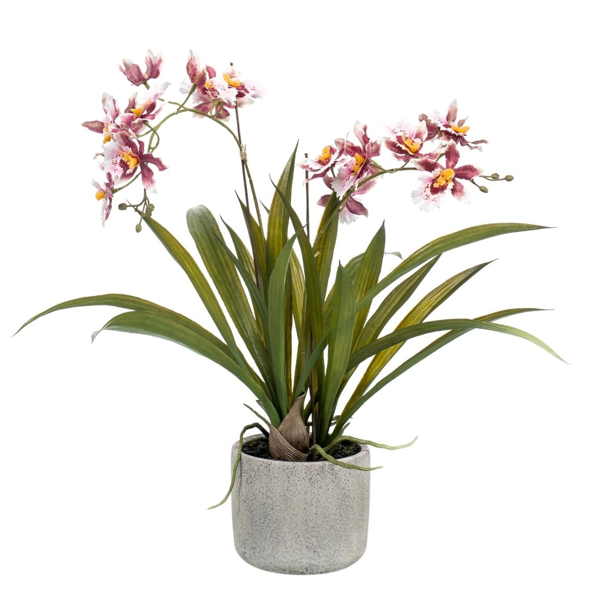 Orchidee Bordeaux | Kunstplant 1 - LushLeaf | Online planten bestellen