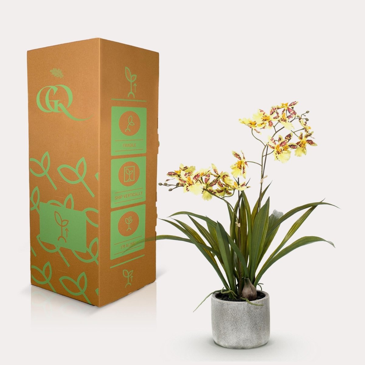 Orchidee Geel | Kunstplant 3 - LushLeaf | Online planten bestellen