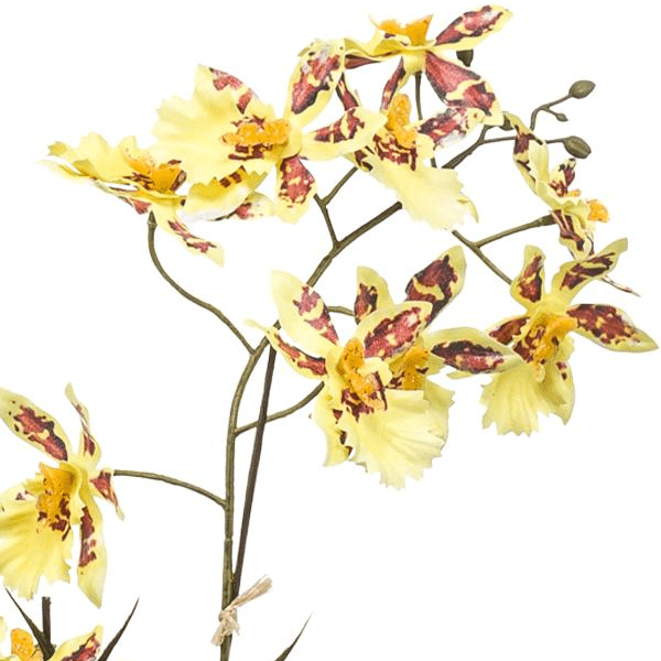 Orchidee Geel | Kunstplant 2 - LushLeaf | Online planten bestellen