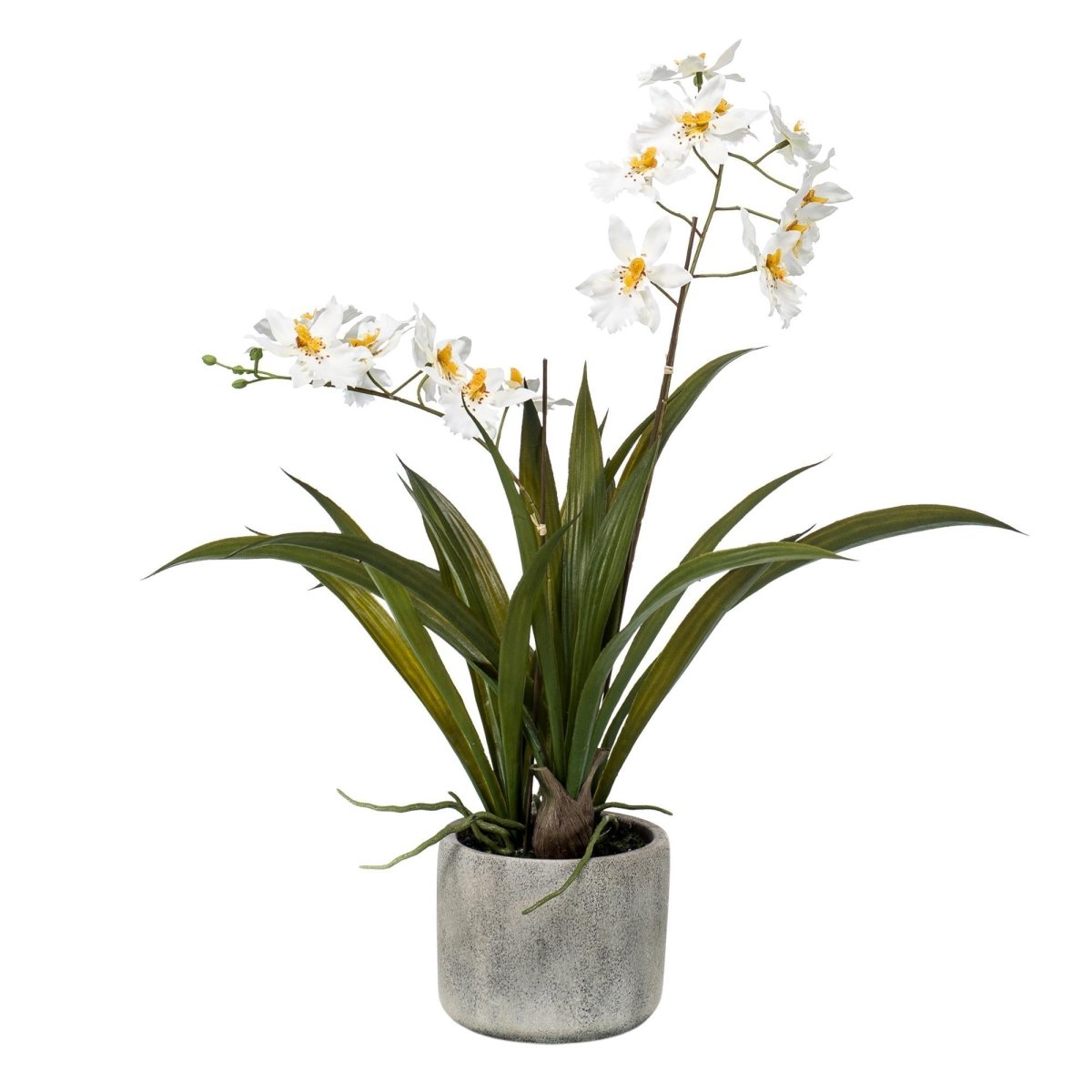 Orchidee Wit | Kunstplant 1 - LushLeaf | Online planten bestellen