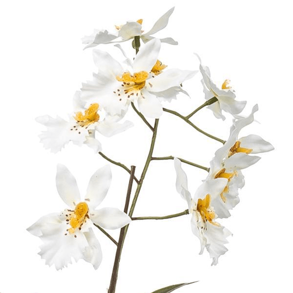 Orchidee Wit | Kunstplant 2 - LushLeaf | Online planten bestellen