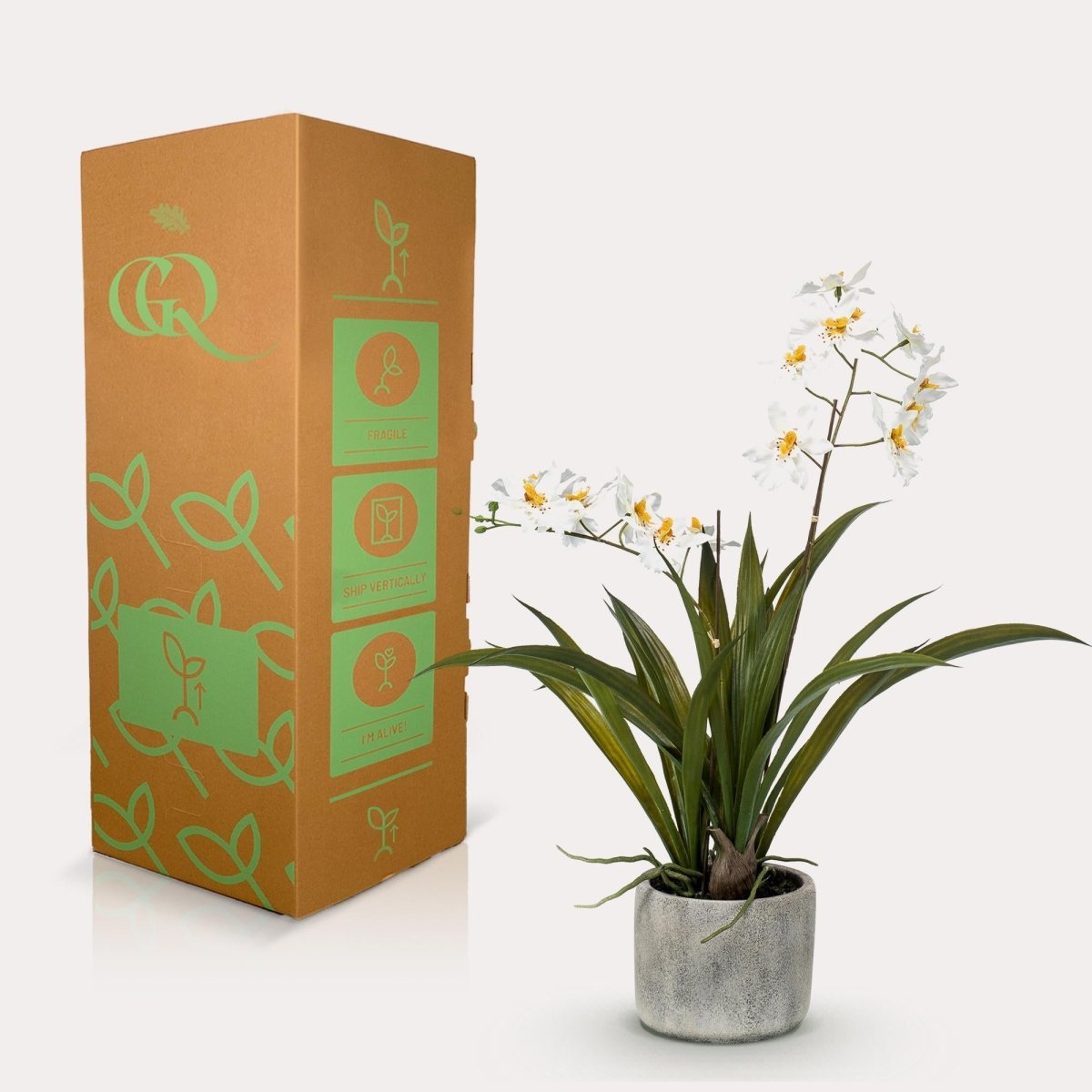 Orchidee Wit | Kunstplant 3 - LushLeaf | Online planten bestellen