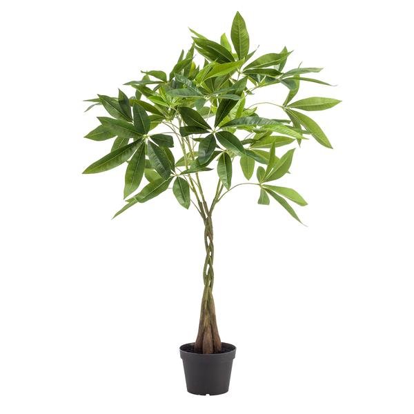 Pachira Aquatica - Geldboom | Kunstplant 6 - LushLeaf | Online planten bestellen